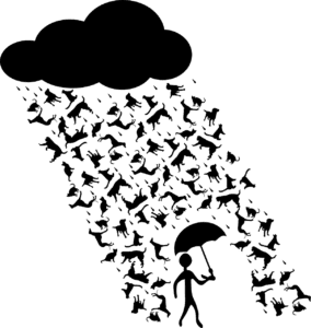 Rainstorm Rain Cats And Dogs Rain  - OpenClipart-Vectors / Pixabay