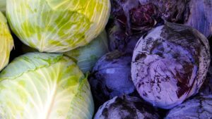 Kohl Red Cabbage White Cabbage  - matthiasboeckel / Pixabay