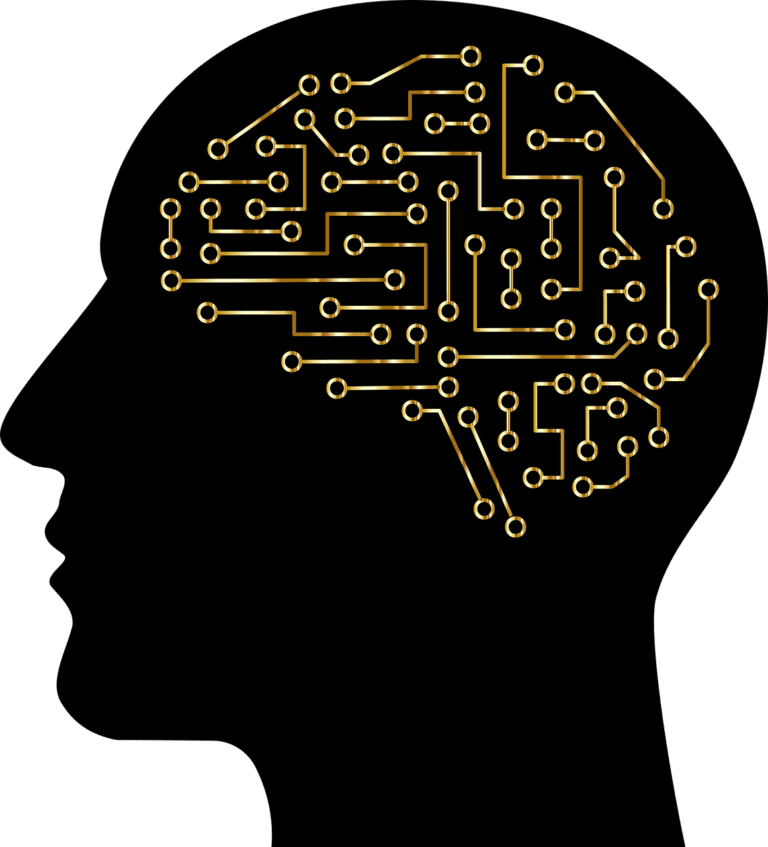Brain Circuits Electronics  - GDJ / Pixabay