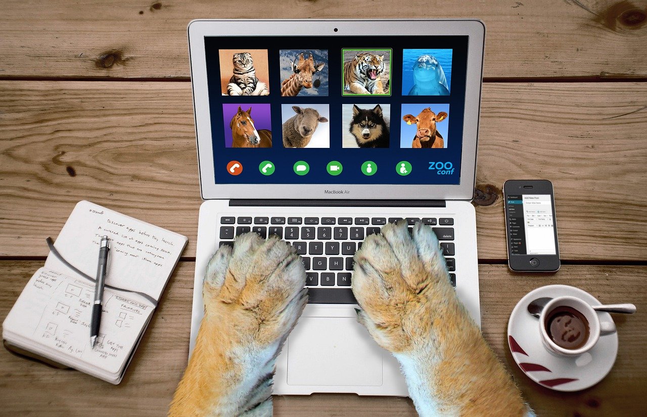 Video Call Video Conference Zoom - Brian_Cragun / Pixabay